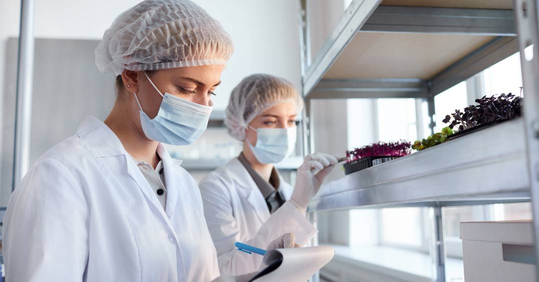 university bio-science staff working in lab
