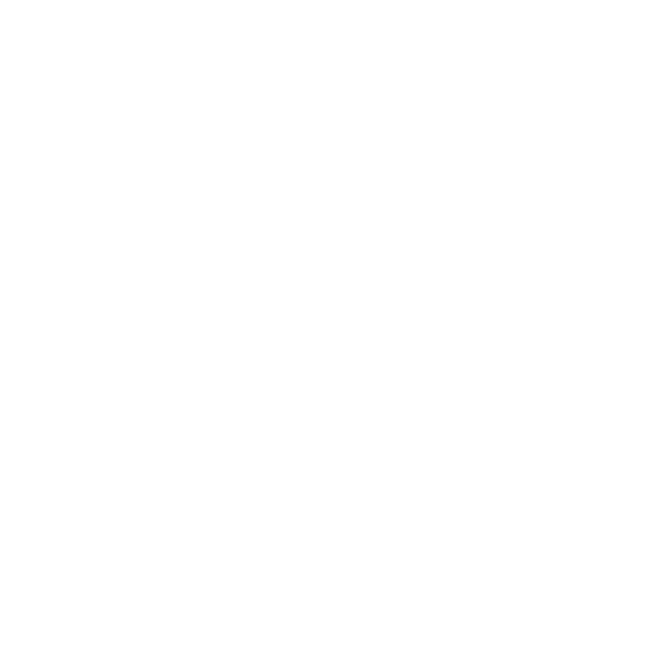 money-savings-icon-white