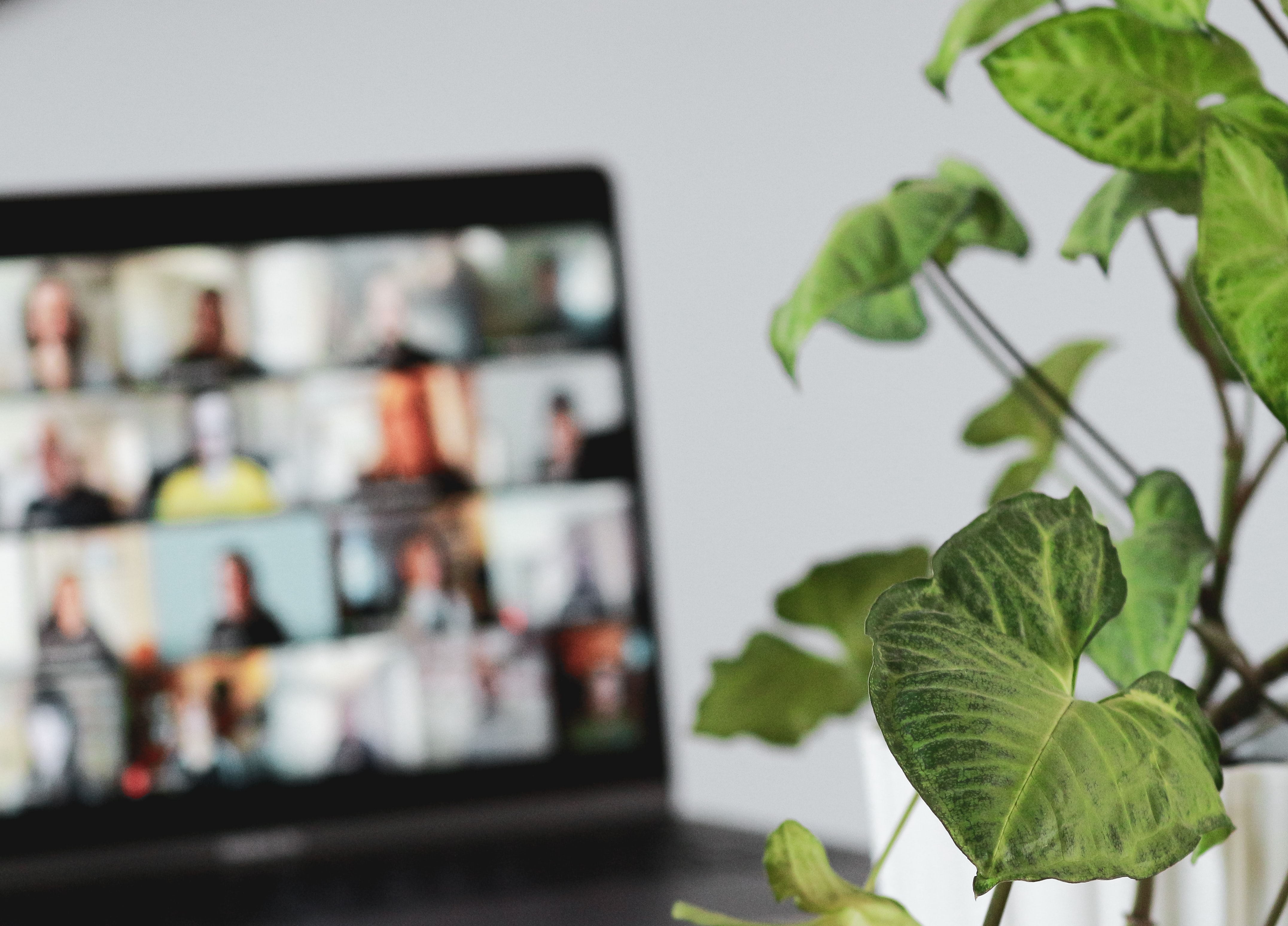 Laptop displaying employees engaged in a virtual meeting